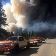 Forest Fire Medical Response